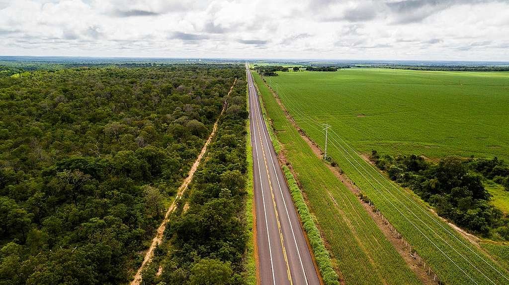 Prejuízo com desmatamento no Estado passa de R$ 16 milhões em um ano -  Extra Classe