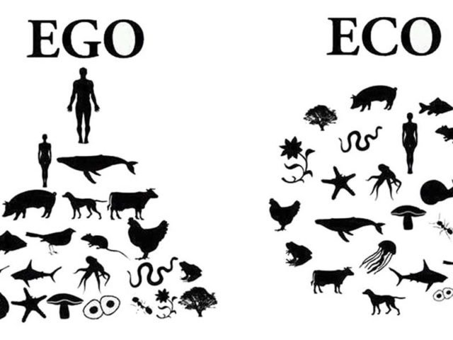 Quando a alimentação é ego e quando é eco?