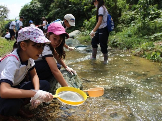 Projeto colombiano aposta na educação de crianças e jovens para a proteção da água