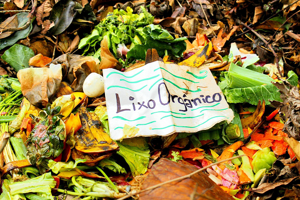 Resíduo Zero nas Escolas: projeto evita que toneladas de resíduos orgânicos vão para aterro sanitário