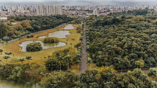 Biomas Urbanos: Cidades que auxiliam Florestas