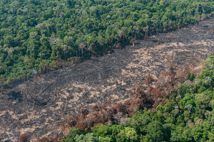 Como acabar com o desmatamento ilegal na Amazônia até 2030?